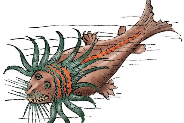 Kraken 12at