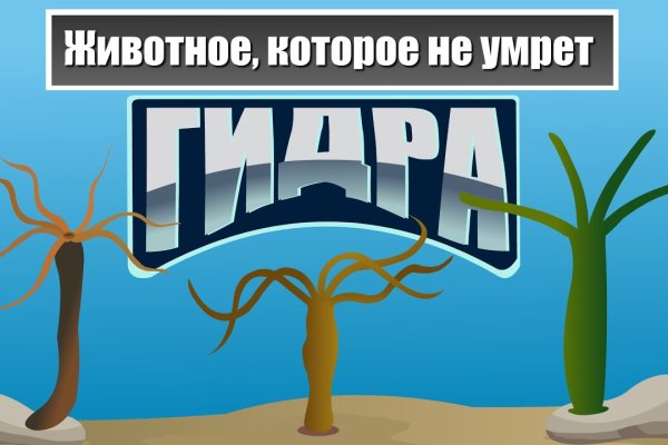 Кракен современный даркнет маркет плейс